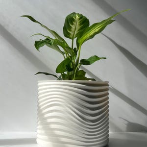 May include: A white, wavy-textured ceramic planter holding a green plant with variegated leaves. The planter has a cylindrical shape with horizontal wave-like ridges. The plant's leaves are a vibrant green with lighter green and white patterns.