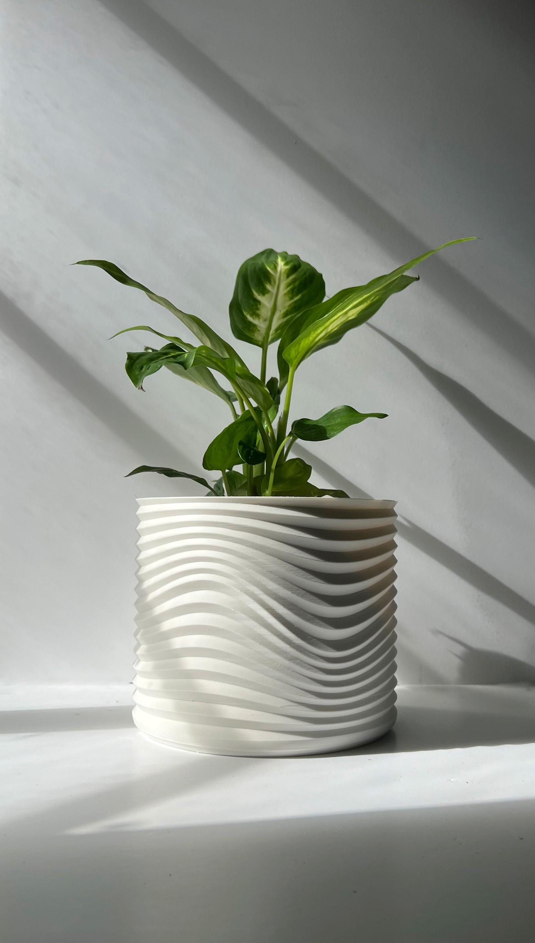 8 Inch Flower Pots Indoor - Etsy