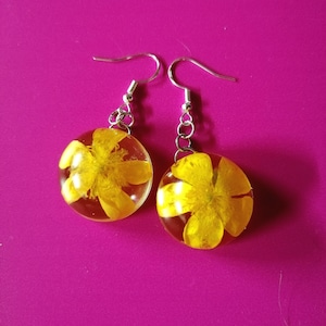 Pressed flower Buttercup dangling earrings, Real Buttercup flower resin earrings, Yellow wildflower earrings sterling silver hooks