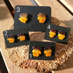 Harz Ohrstecker, Echte Stiefmütterchen Ohrstecker, Echte gepresste Stiefmütterchen Blume Ohrringe, Getrocknete Blume Harz Ohrringe, Botanische Ohrringe