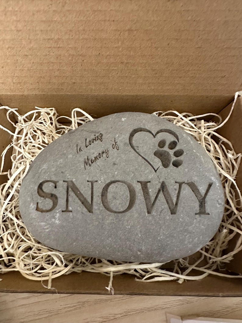 May include: A gray stone engraved with "In Loving Memory of SNOWY" and a heart with a paw print inside. The stone is in a box with shredded paper.