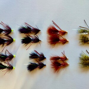 May include: Assortment of 12 fly fishing lures with various colours and feather patterns. The lures are arranged in rows on a white surface.