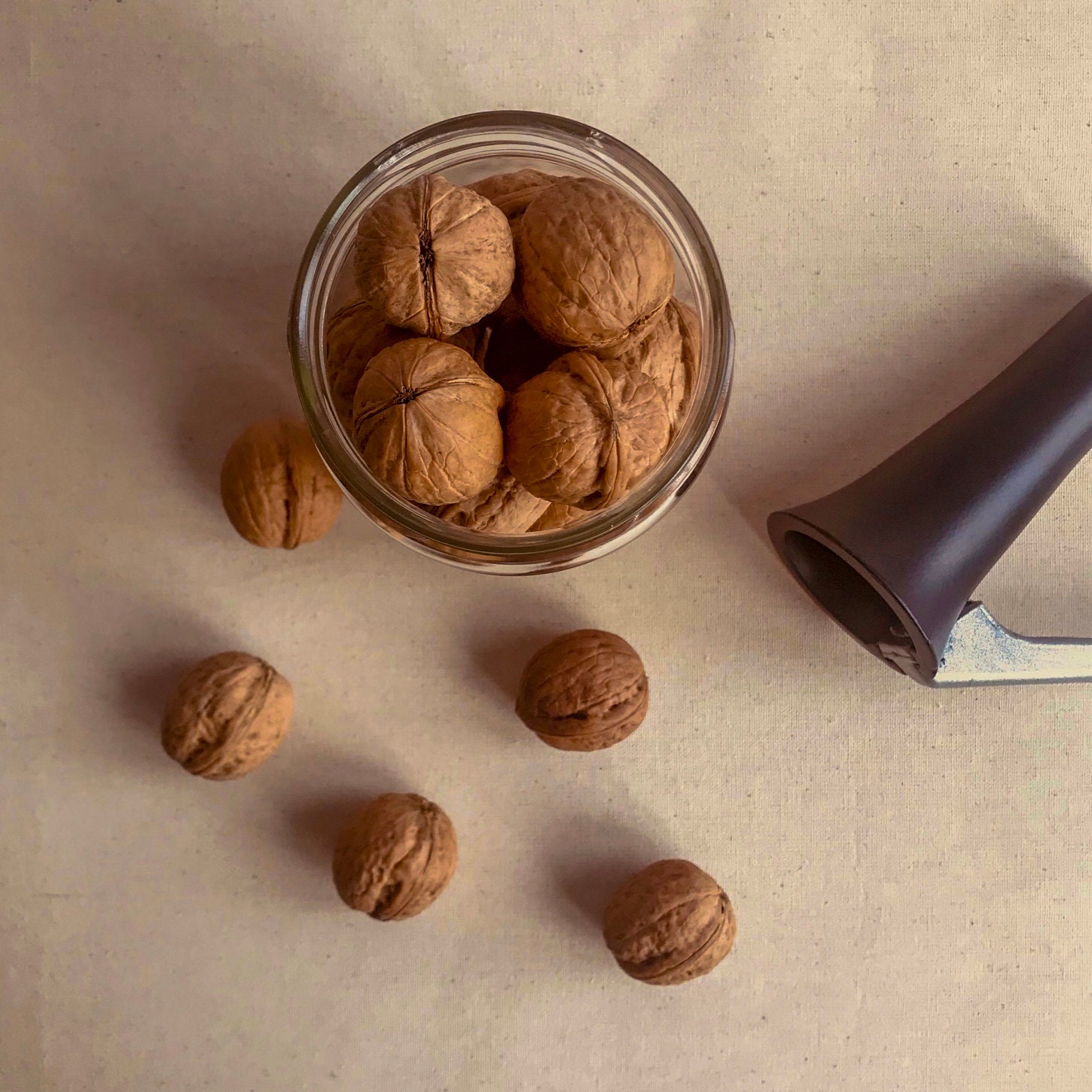 Walnut in Shell, Premium Organic Walnuts in Shell. Etsy