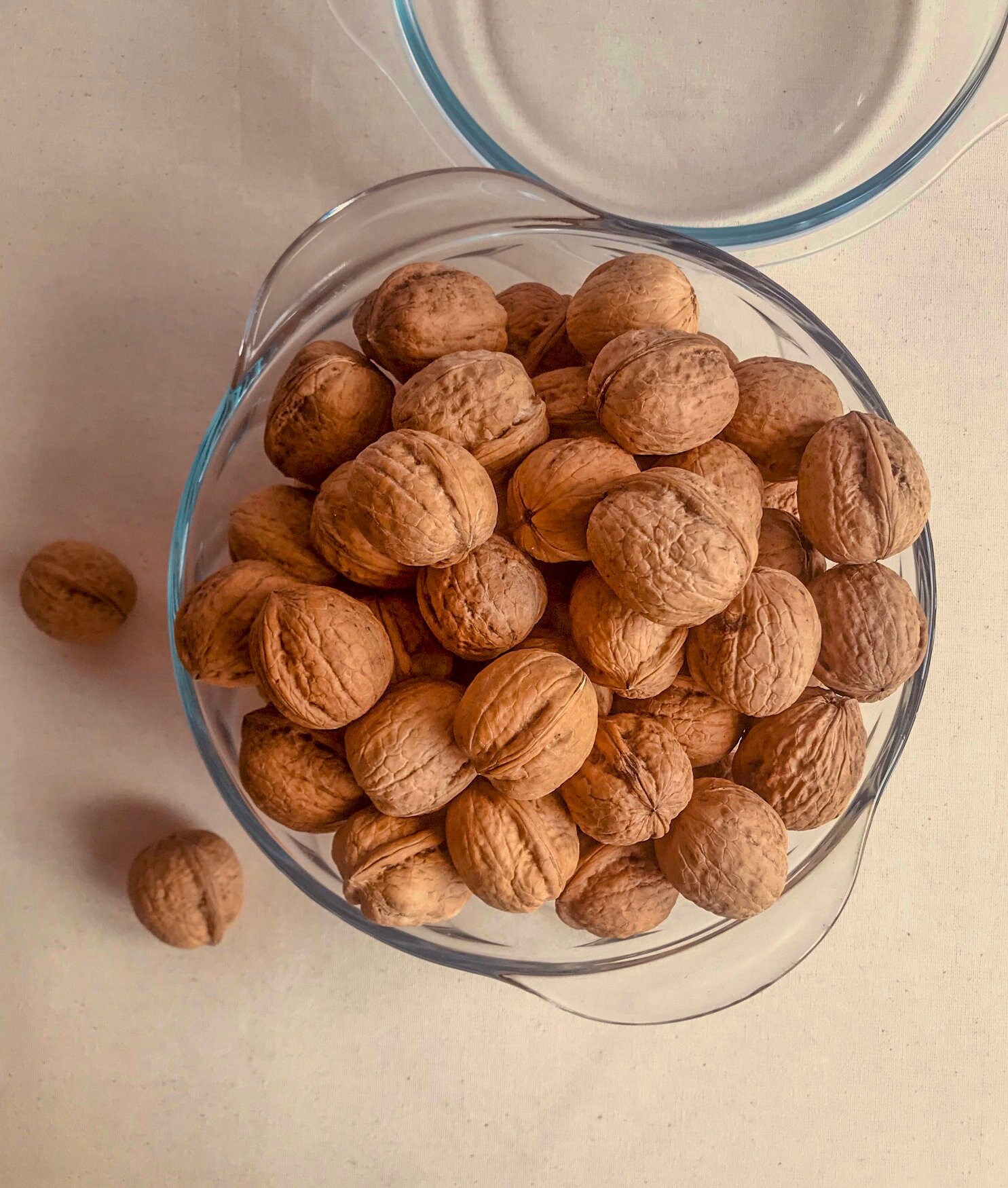 Walnut in Shell, Premium Organic Walnuts in Shell. Etsy