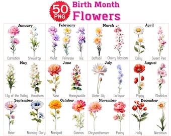 Birth Month Flowers Watercolor Clipart, Floral PNG Bundle (Digital Download)