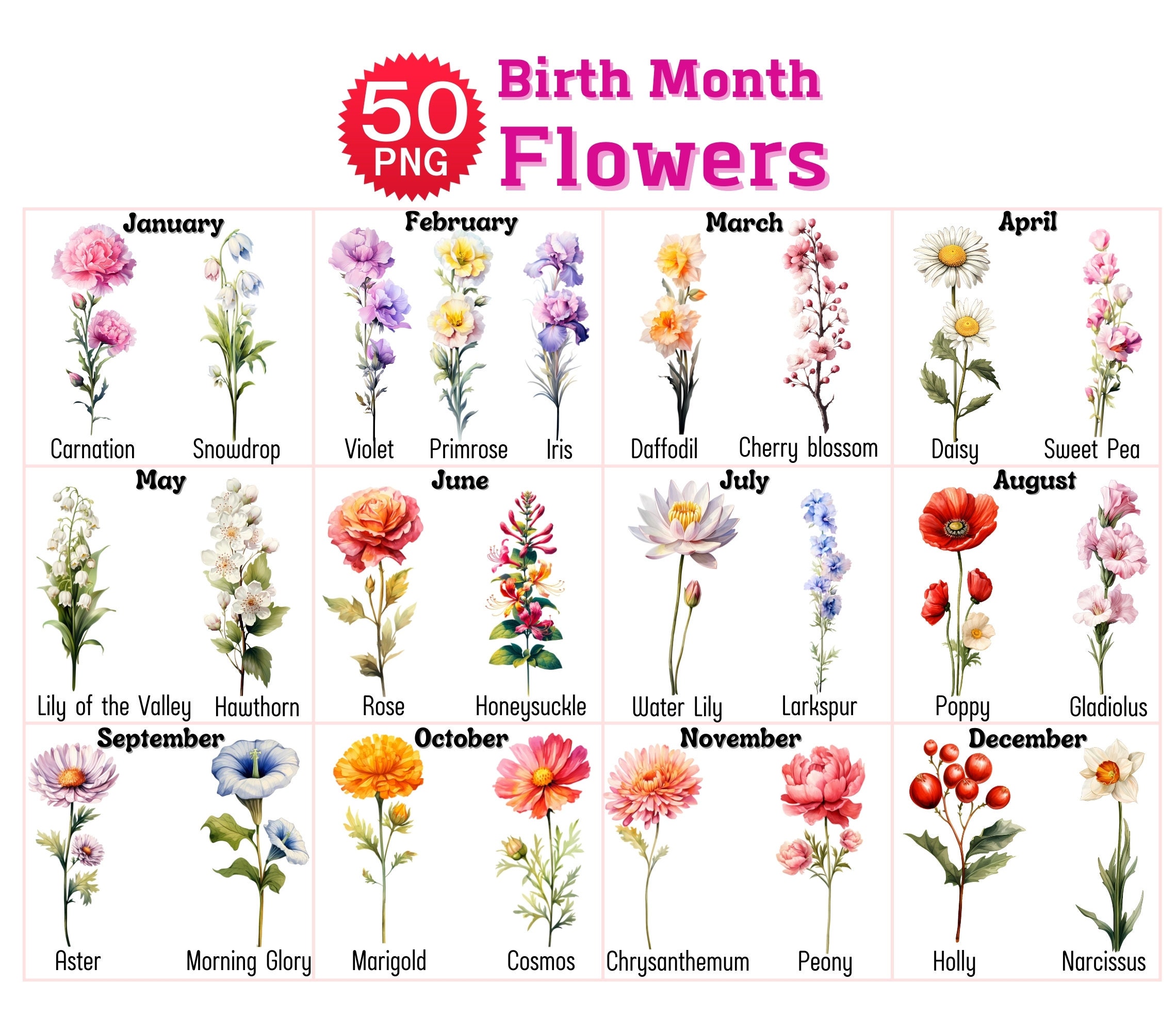 50 Birth Month Flowers Clipart, Watercolor Floral PNG, Birth Month