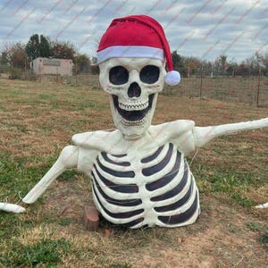 May include: A large, grinning skeleton decoration wearing a red Santa hat with a white pom-pom. The skeleton has outstretched arms and a black and white rib cage, set in a grassy outdoor environment.