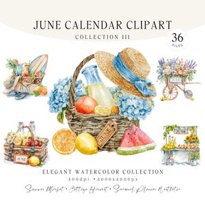 Juni akvarell kalender Clipart, sommarpicknick och bondens marknad paket, säsongsbetonade illustrationer, Cottagecore-grafik, 36 PNG JPG-filer