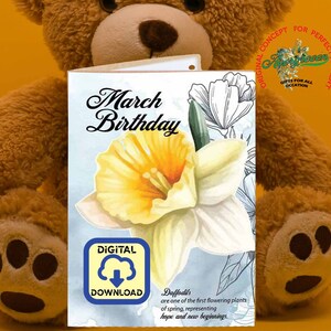 Nacimiento Flor Marcha Narcisos Tarjetas de felicitación y arte de pared Paquete de 7 impresiones digitales