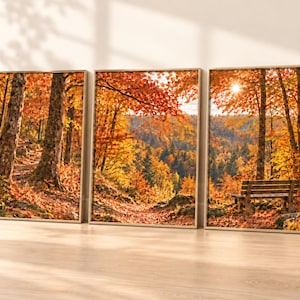 May include: A triptych of three rectangular wall art prints featuring a continuous autumn forest scene with vibrant orange and yellow foliage, tall tree trunks, a sunlit sky, and a wooden bench positioned in the right panel on a leaf-covered path.