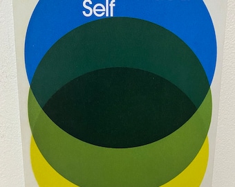 The Divided Self R.D. Laing, 60s Psychology counter-culture madness schizophrenia insane world paperback good condition