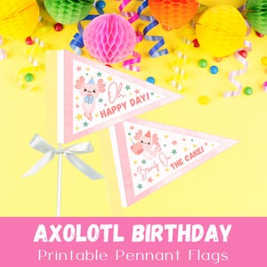 Axolotl Birthday Printable Pennant Flags, Instant Download, Axolotl Birthday Decorations
