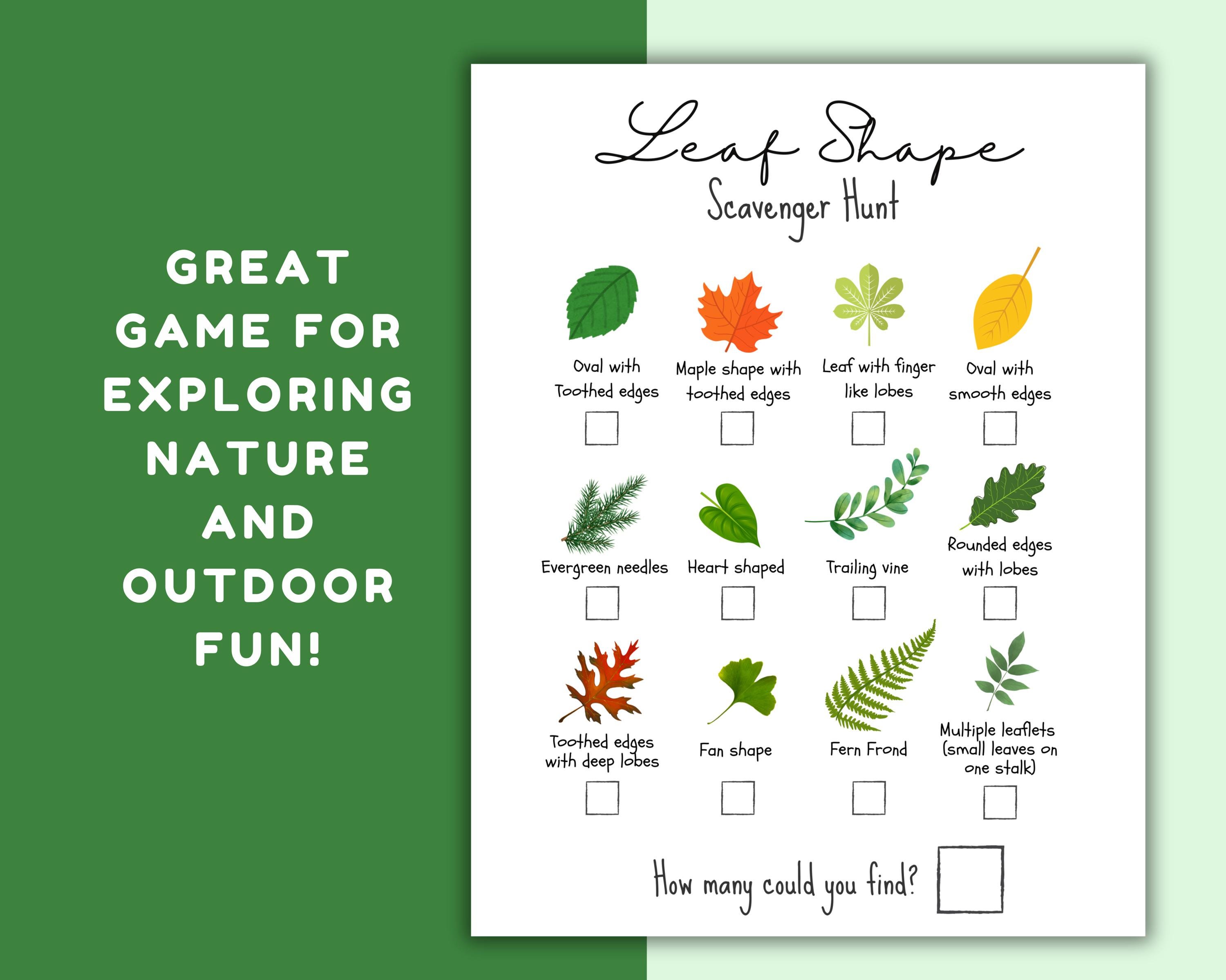 Leaf Shape Nature Scavenger Hunt: Outdoor Activity (digital Download ...