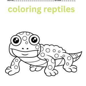 10 Coloring pictures of reptiles,Coloring Pages for Kids, Coloring Pages Printable, Digital Download, Animals, Geckos