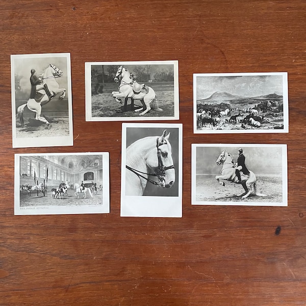 Postcards Spanish Riding School