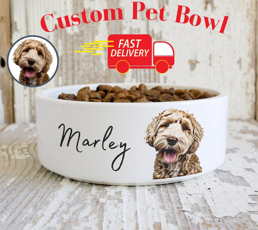 Personalized Custom Pet Bowl Using Pet Photo Name Personalized Dog Bowl