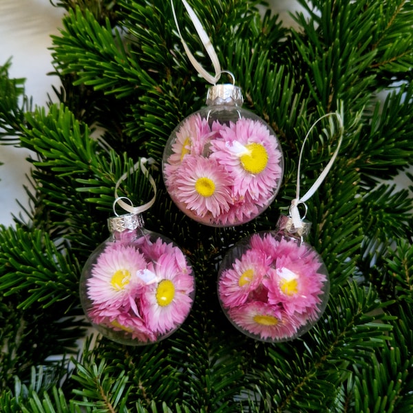 Deko Glaskugel 6cm mit Trockenblumen in pink, Acroclinium