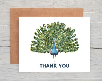 Spread Peacock Thank You Card, Watercolor Thank You Card, Set of 12, Tropical Thank You Cards, Watercolor Animal, Thank You Card Pack