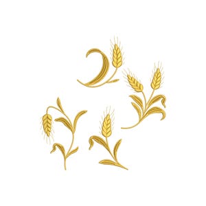 Può includere: Un insieme di spighe di grano dorate con trame e foglie dettagliate, su uno sfondo bianco pulito. Il design del grano è probabilmente per ricamo o un elemento decorativo.