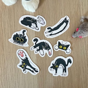 Pack de 7 autocollants chat expressif et mignon, stickers chat mignon et drôle, stickers bullet journal, stickers mignons, idée cadeau