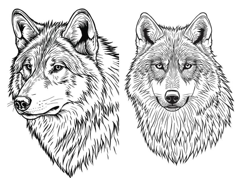 Coloring Pages, Majestic Wolves. Printable PDF File - Etsy