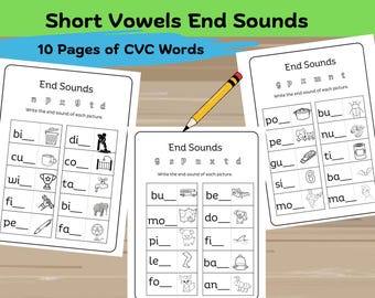 Phonics End Sound Worksheet: CVC Words, Kindergarten Activities (PDF Pattern)