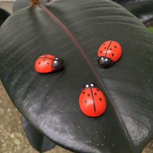 Mini Ladybug Plant Decor: Fairy Garden Terrarium Accessories
