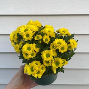 May include: A rustic wooden sign with the text "Welcome to our home" in white lettering. The sign features a distressed finish and a simple, inviting design, perfect for entryway decor.