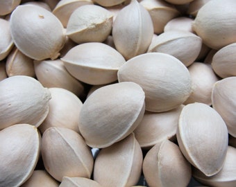Ginkgo Biloba seeds Maidenhair tree clean seeds for planting Never Bleached