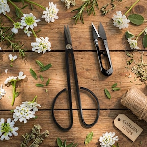 May include: Overhead shot of two black garden shears and white flowers on a wooden surface. One pair of shears has long handles, the other is smaller. A tag reads "GARDEN SNIPS".