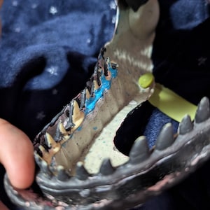 May include: A plastic dinosaur toy jaw featuring a dark gray exterior and a cream-colored interior. The jaw is lined with sharp, pointed teeth, with a distinct patch of bright blue paint applied along the gum line and small blue speckles inside.