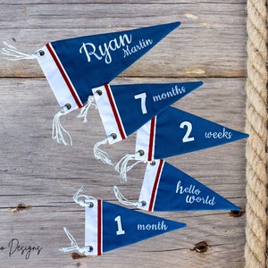 Embroidered Denim Baby Milestone Pennant Markers