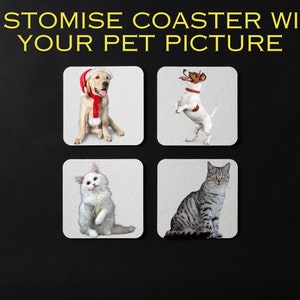 K&ouml;nnte beinhalten: Vier quadratische Untersetzer mit Bildern von Haustieren. Die Untersetzer zeigen einen Golden Retriever mit einem Weihnachtsmann-Hut, einen springenden Jack Russell Terrier, eine wei&szlig;e Katze mit blauen Augen und eine graue Tabby-Katze.