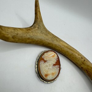 May include: Oval cameo brooch featuring a woman's profile in shades of orange and cream, set in a silver-toned scalloped frame. A light brown antler is positioned diagonally across the top of the image.