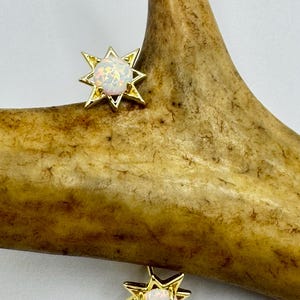 May include: Two gold-colored starburst stud earrings with a white, iridescent center stone. The earrings are displayed on a textured, brown antler, set against a white background. The earrings are small and delicate.