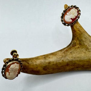 May include: A pair of gold tone cameo earrings with a white cameo of a woman's profile set in a red shell background.