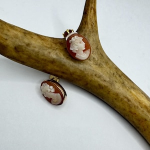 Może przedstawiać: Para złotych kolczyków z kameą przedstawiającą biały profil kobiety osadzony w czerwonej muszli.