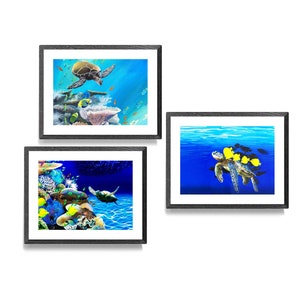 May include: Three framed paintings of sea turtles swimming in a blue ocean with coral reefs and colorful fish. The paintings are in black frames and are hung on a white wall.