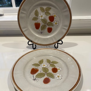 Handpainted Americana Hearthside Stoneware Berries ‘N Cream Dinner Plates and Casual Elegance Stoneware bowls Made in Japan