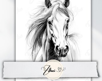 Pony Coloring Printable - Artistic Horse Lover Gift, Ideal for Birthday, Christmas, or Valentine's Day, Horse Owner Present