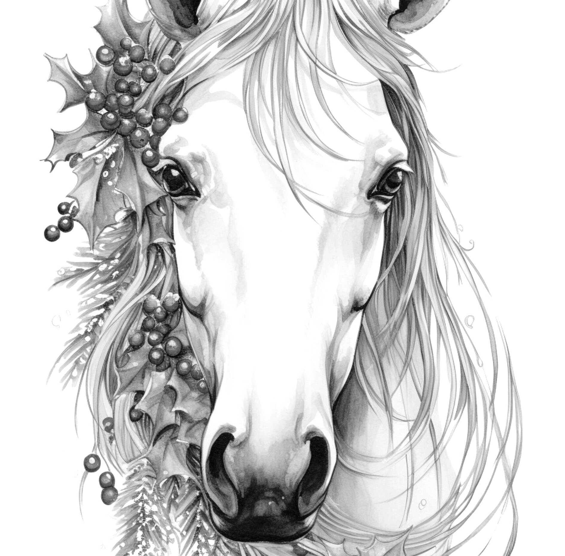 Valentine Horse Coloring Pages Relaxing Horse Head Book, Reindeer ...