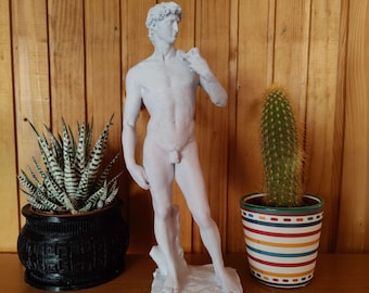 Michelangelo's Statue of David, Decorative Masterwork, Classic Sculpture, Flawlessly Printed Home and Office Decor Gift