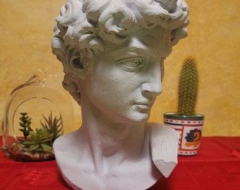 Bust of Michelangelo's David, Decorative Classic Statue, Masterpiece Sculpture, Flawlessly Printed Home and Office Decor Gift