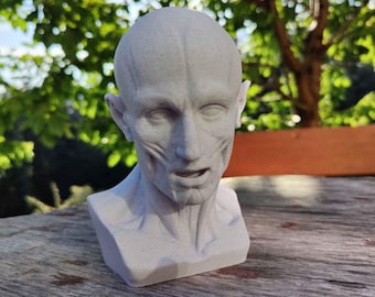 Ecorché Bust: 3D Printed Human Anatomy Head Sculpture