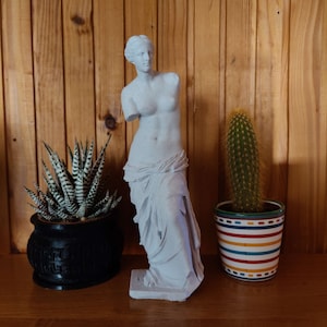 Buste Venus De Milo, decoratief klassiek Romeins standbeeld, meesterwerksculptuur, Romeinse beeldhouwkunst, vlekkeloos 3D-geprint decor voor thuis en op kantoor