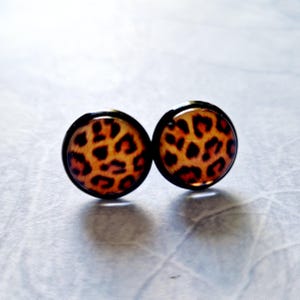 Op de afbeelding: Een paar oorbel studs met een luipaardprint. De oorbellen zijn rond en hebben een zwarte metalen setting.