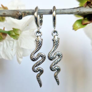 Op de afbeelding: Een paar zilverkleurige oorringen met een slangenmotief. De slangen oorbellen hangen aan een tak, met witte bloemen op de achtergrond. De slangen hebben een gestructureerd, schubachtig patroon.