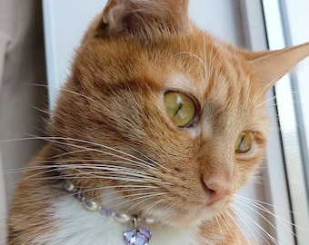 Può includere: Un collare per animali domestici composto da una fila di piccole perle bianche alternate a minuscole perline viola chiaro. Un ciondolo in cristallo viola chiaro a forma di cuore sfaccettato pende dal centro del collare, indossato da un gatto arancione e bianco.