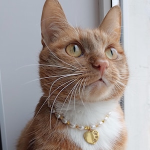 Gold cat collar,Real pearl cat necklace,Luxury cute cat collar,Gold cat necklace,Cat jewelry