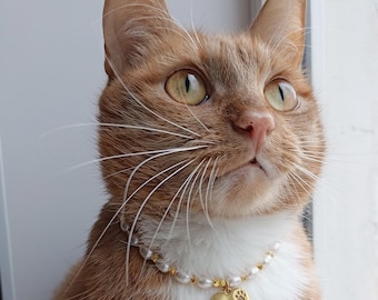 Gold pearl cat collar, Freshwater pearl pet necklace, Gold-tone beaded small dog collar, Cat accessories,Kitten jewelry with heart paw charm